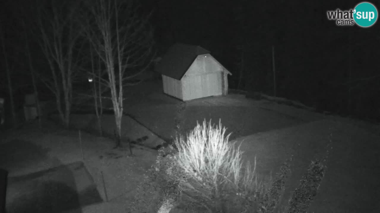 Webcam Lukanja – Water Village | Pohorje Houses