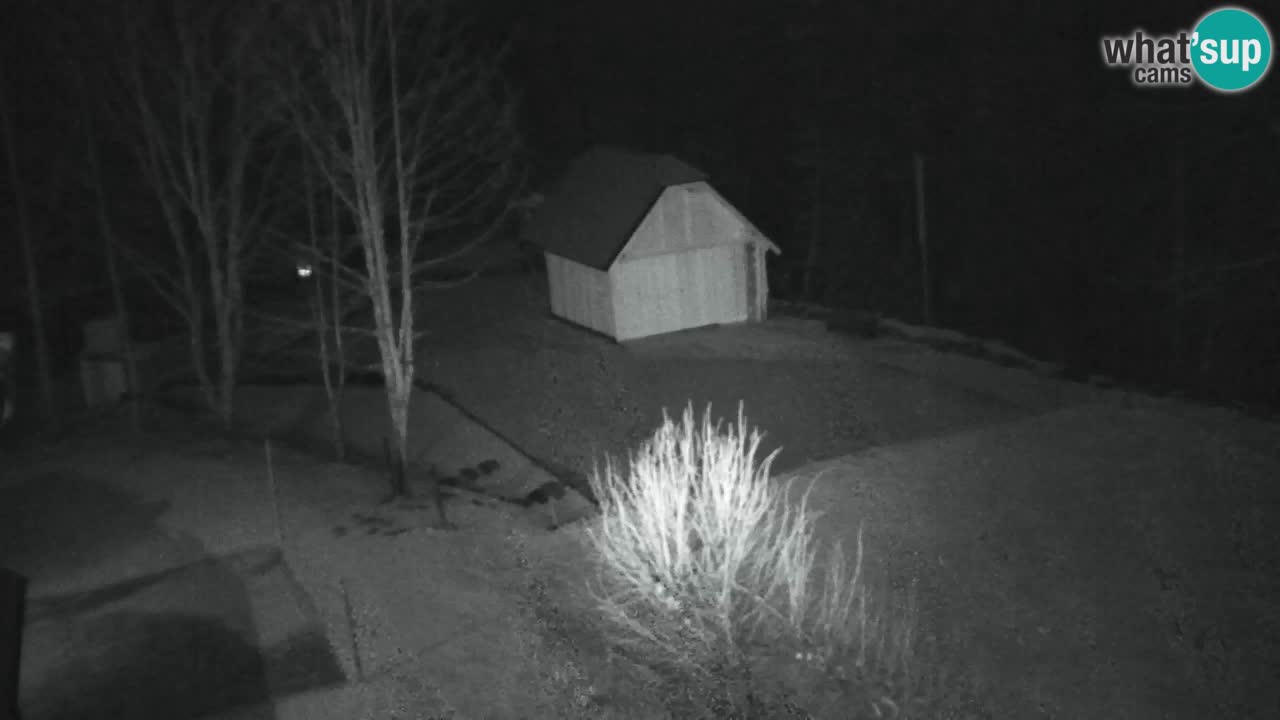 Webcam Lukanja – Water Village | Pohorje Houses