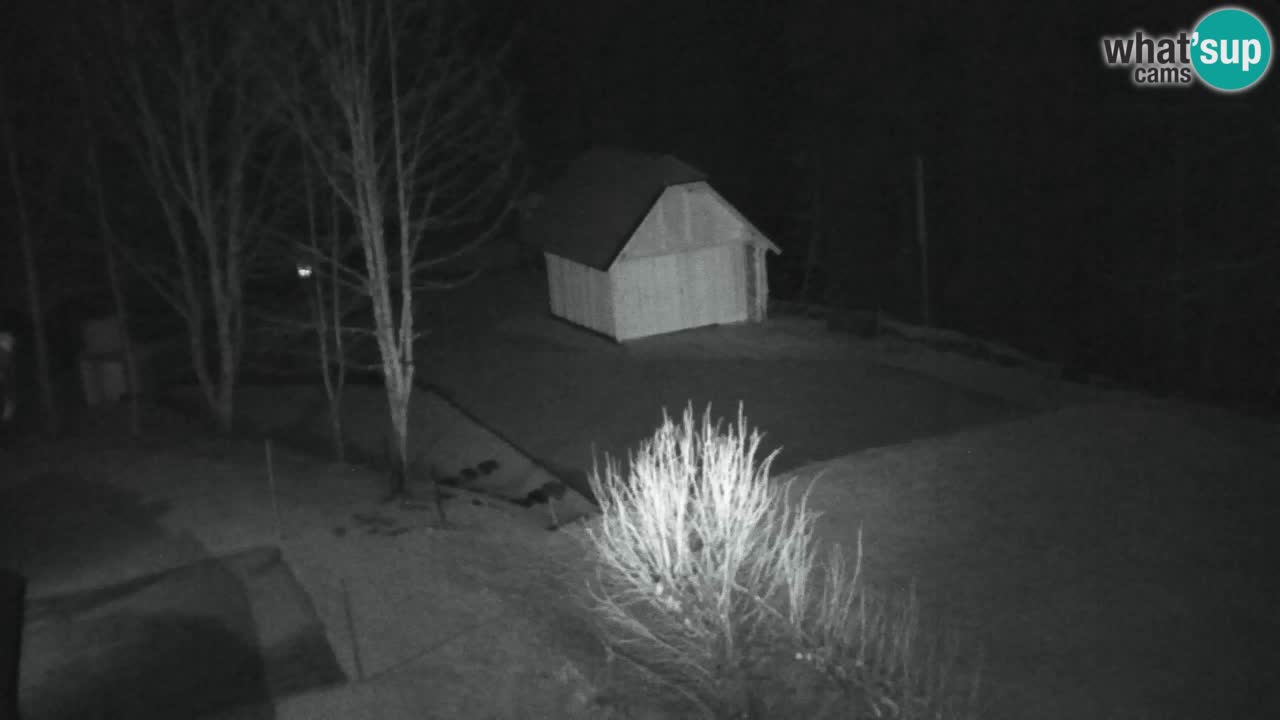 Webcam Lukanja – Pohorje houses a Water village