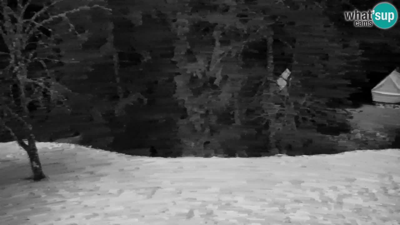 Webcam Lukanja – Water Village | Pohorje Houses