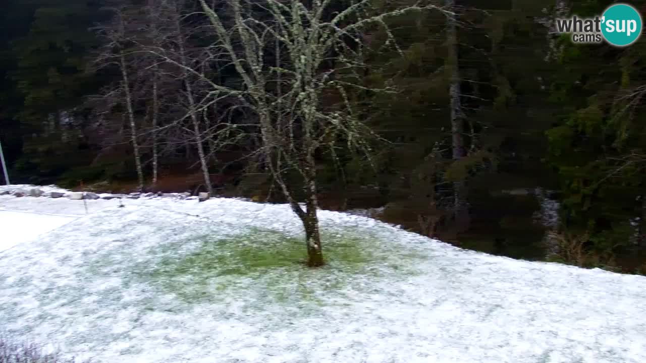 Spletna kamera Lukanja – Water Village | Pohorje Houses