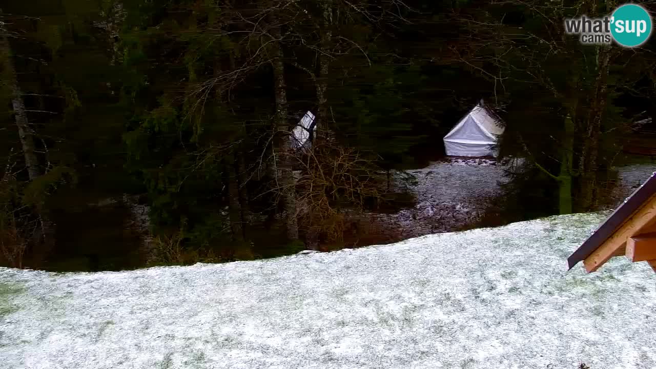 Spletna kamera Lukanja – Water Village | Pohorje Houses