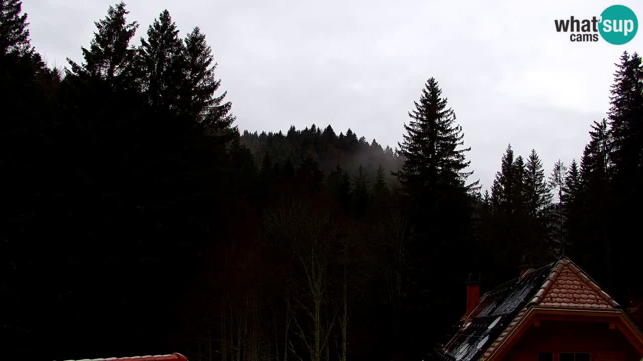 Web kamera Lukanja – Water Village | Pohorje Houses