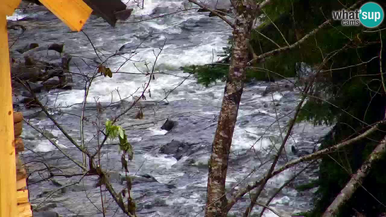 Webcam Lukanja – Water Village | Pohorje Houses