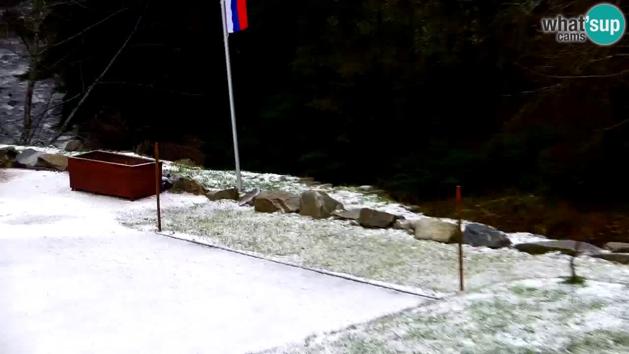 Webcam Lukanja – Water Village | Pohorje Houses