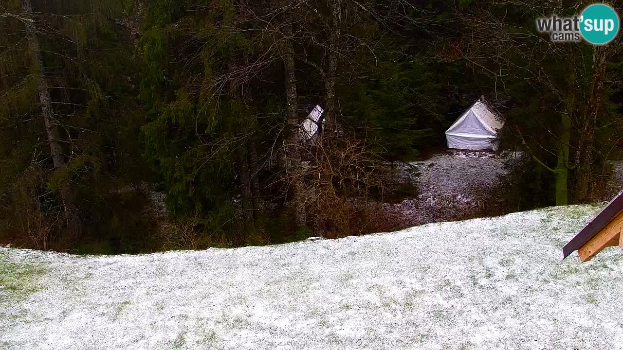 Web kamera Lukanja – Water Village | Pohorje Houses