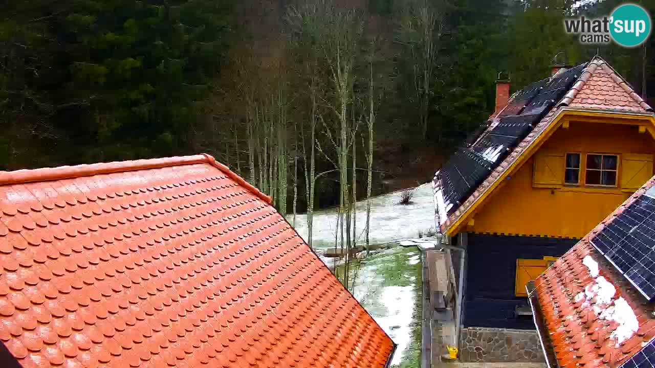 Spletna kamera Lukanja – Water Village | Pohorje Houses