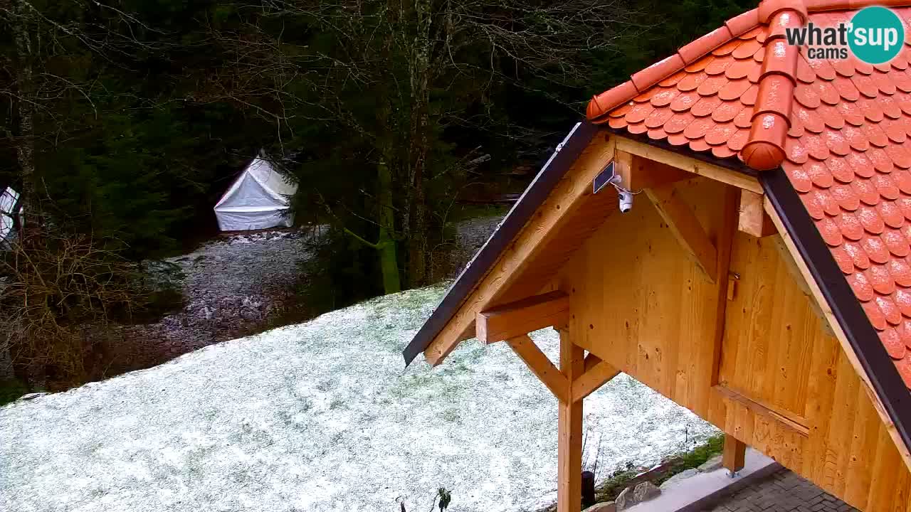 Web kamera Lukanja – Water Village | Pohorje Houses
