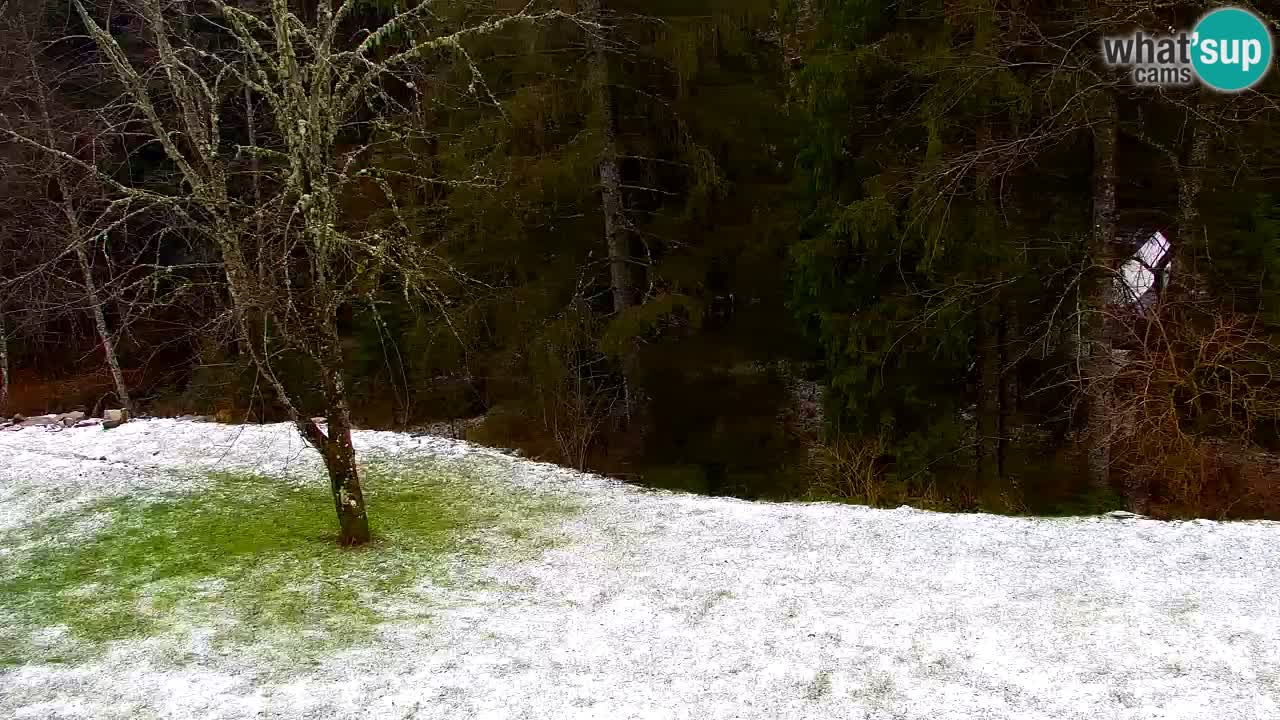 Webcam Lukanja – Water Village | Pohorje Houses