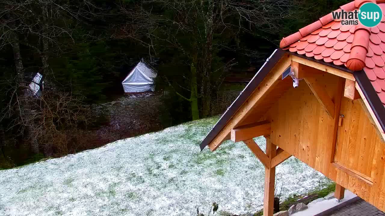 Webcam Lukanja – Pohorje houses a Water village