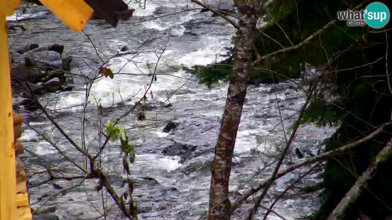 Web kamera Lukanja – Water Village | Pohorje Houses