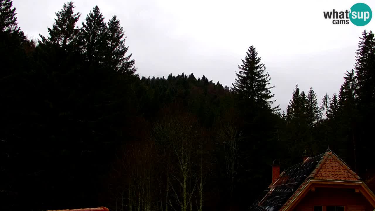 Web kamera Lukanja – Water Village | Pohorje Houses