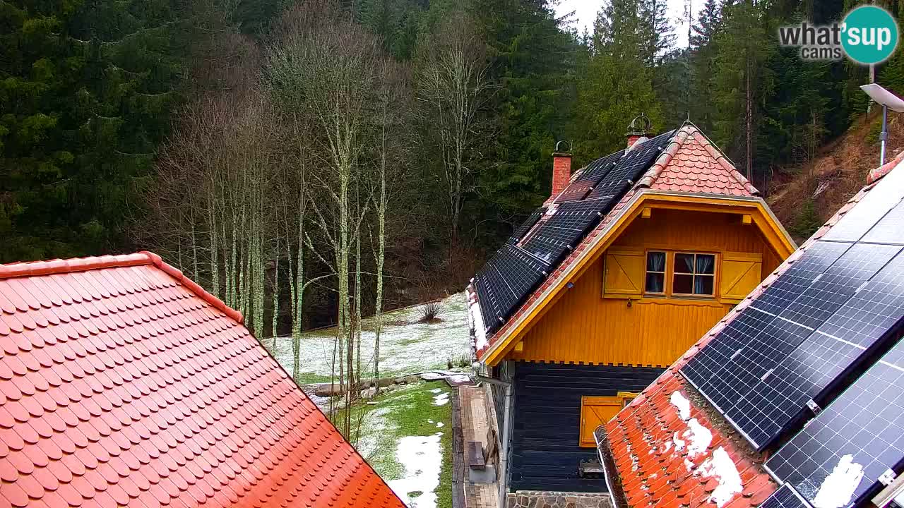 Web kamera Lukanja – Water Village | Pohorje Houses