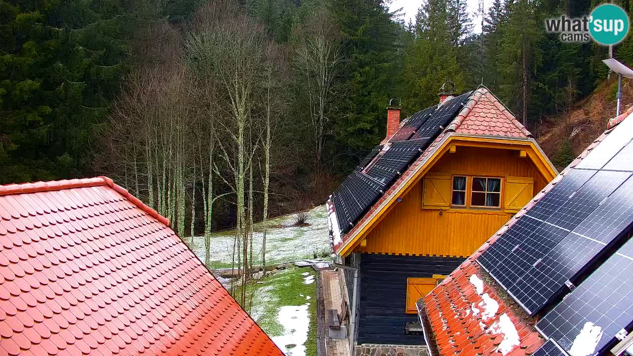 Webcam Lukanja – Water Village | Pohorje Houses