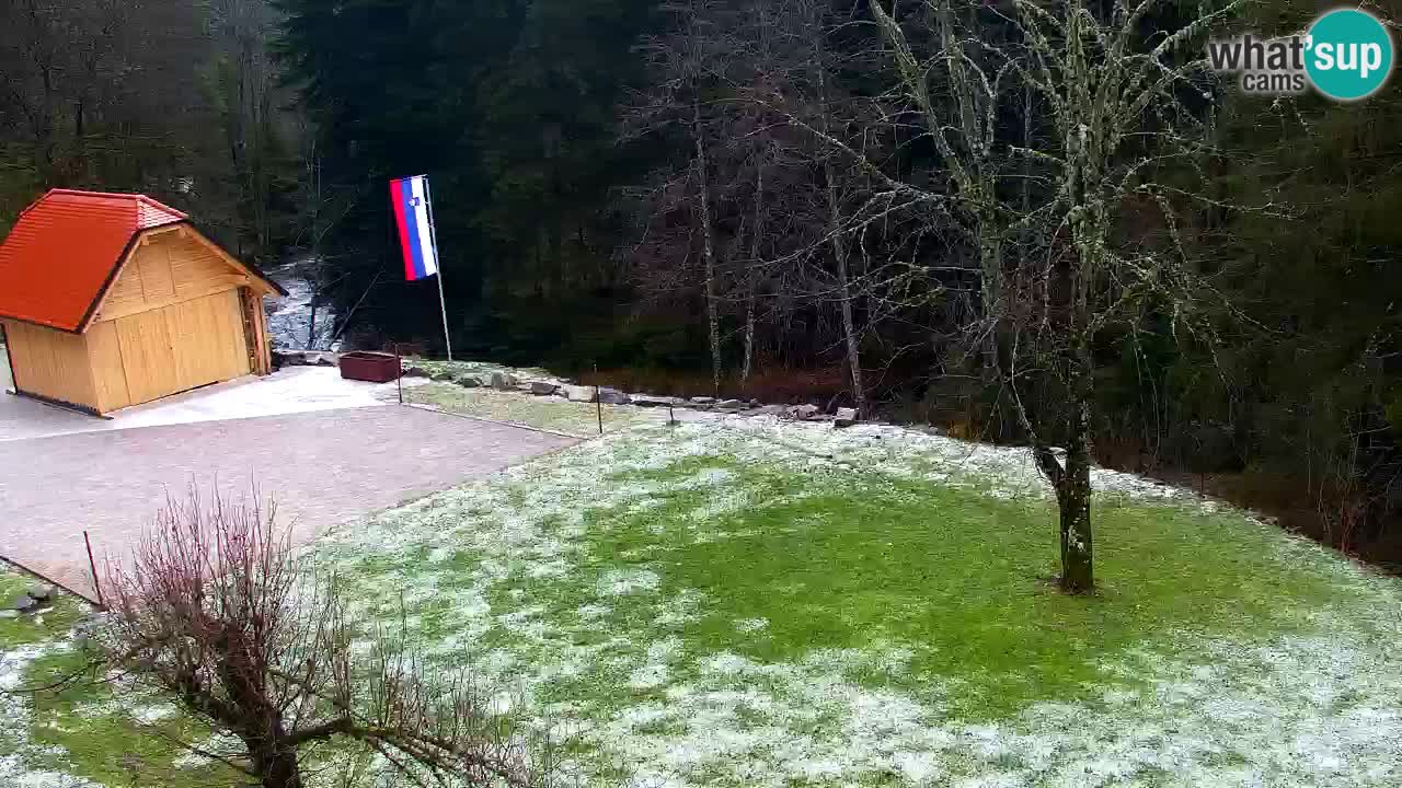 Webcam Lukanja – Water Village | Pohorje Houses