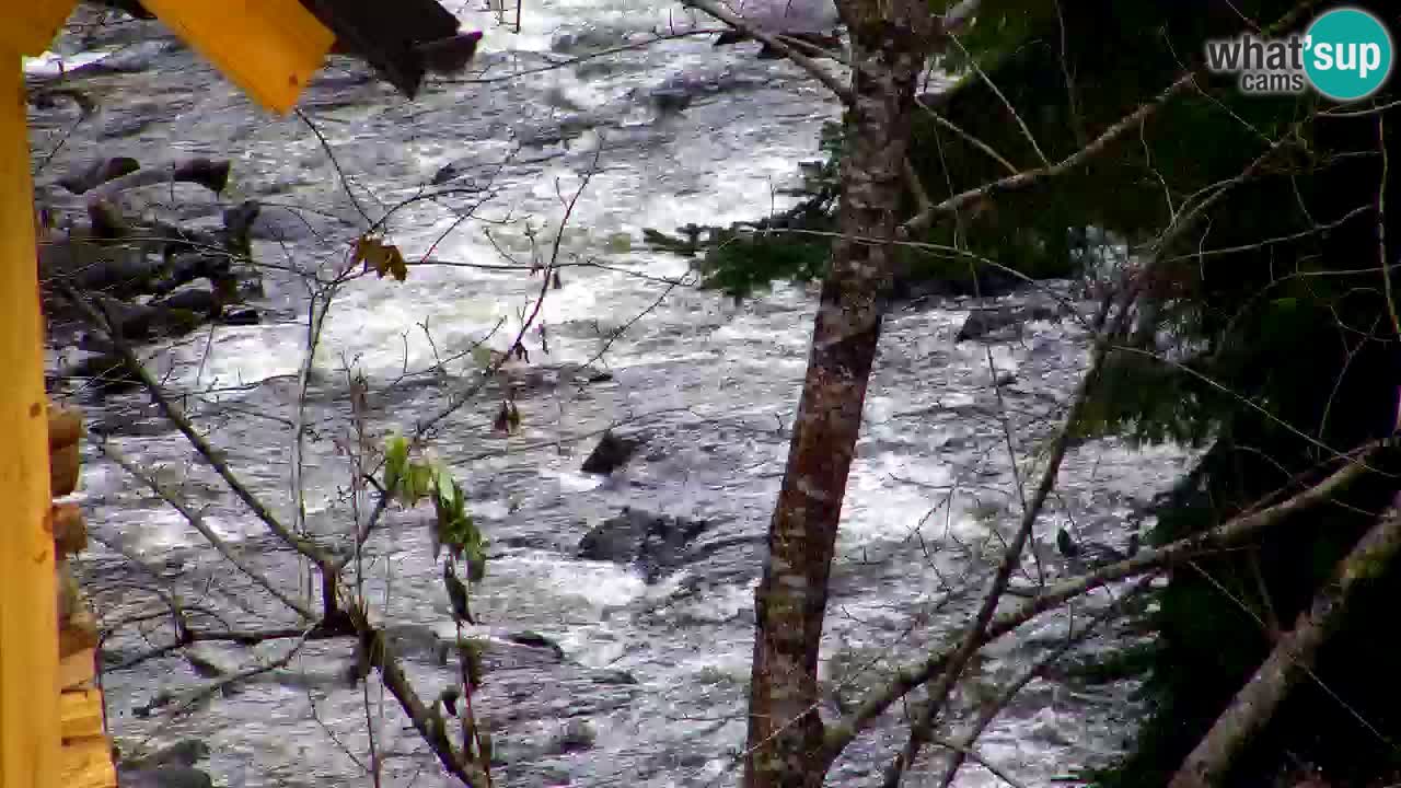 Webcam Lukanja – Pohorje houses a Water village