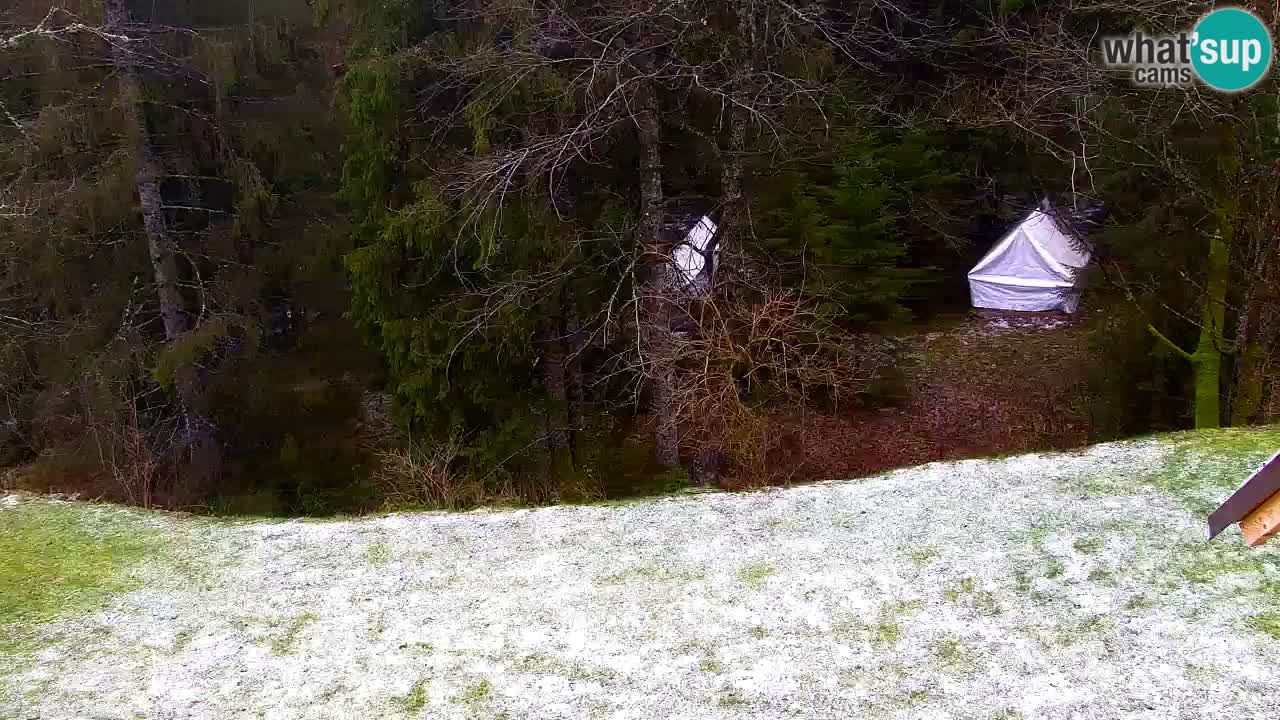 Webcam Lukanja – Water Village | Pohorje Houses