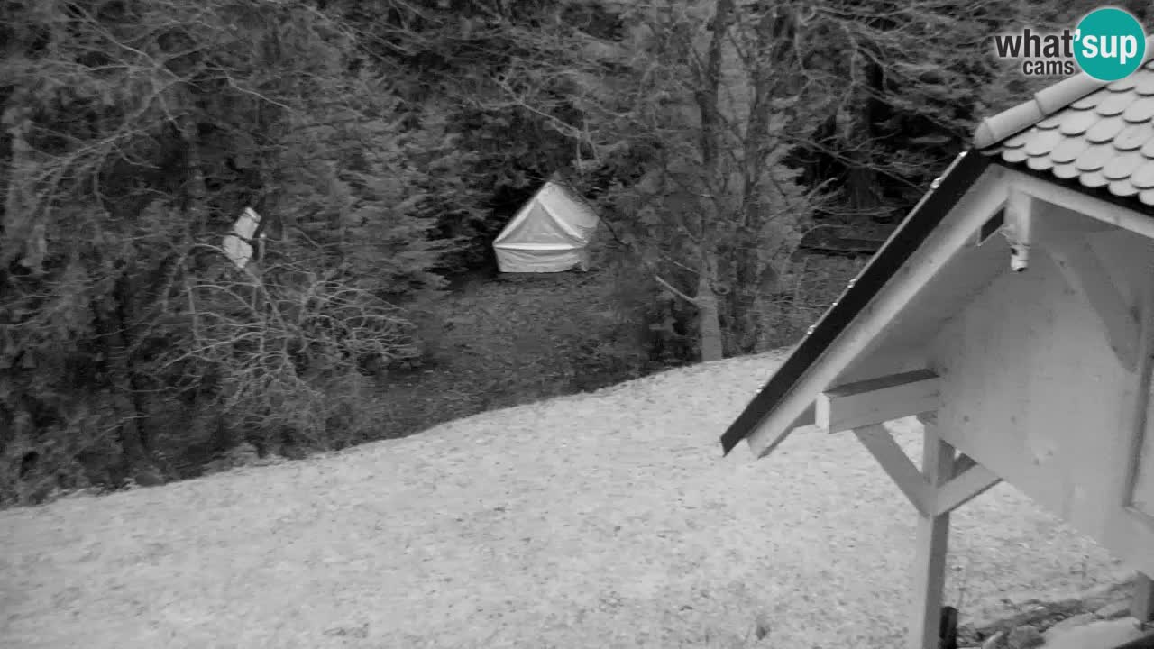 Webcam Lukanja – Water Village | Pohorje Houses