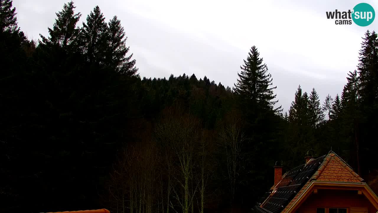 Webcam Lukanja – Water Village | Pohorje Houses