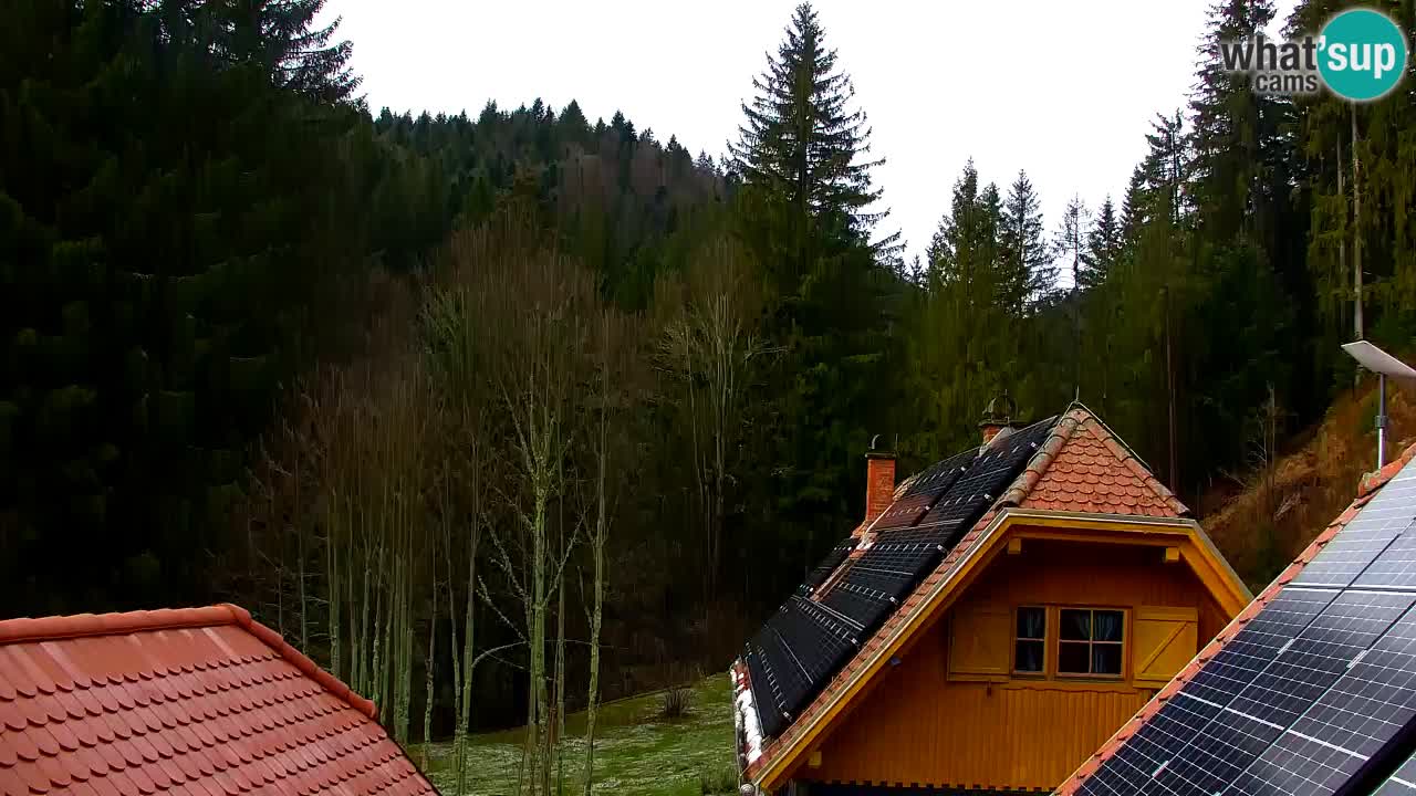 Webcam Lukanja – Pohorje houses a Water village
