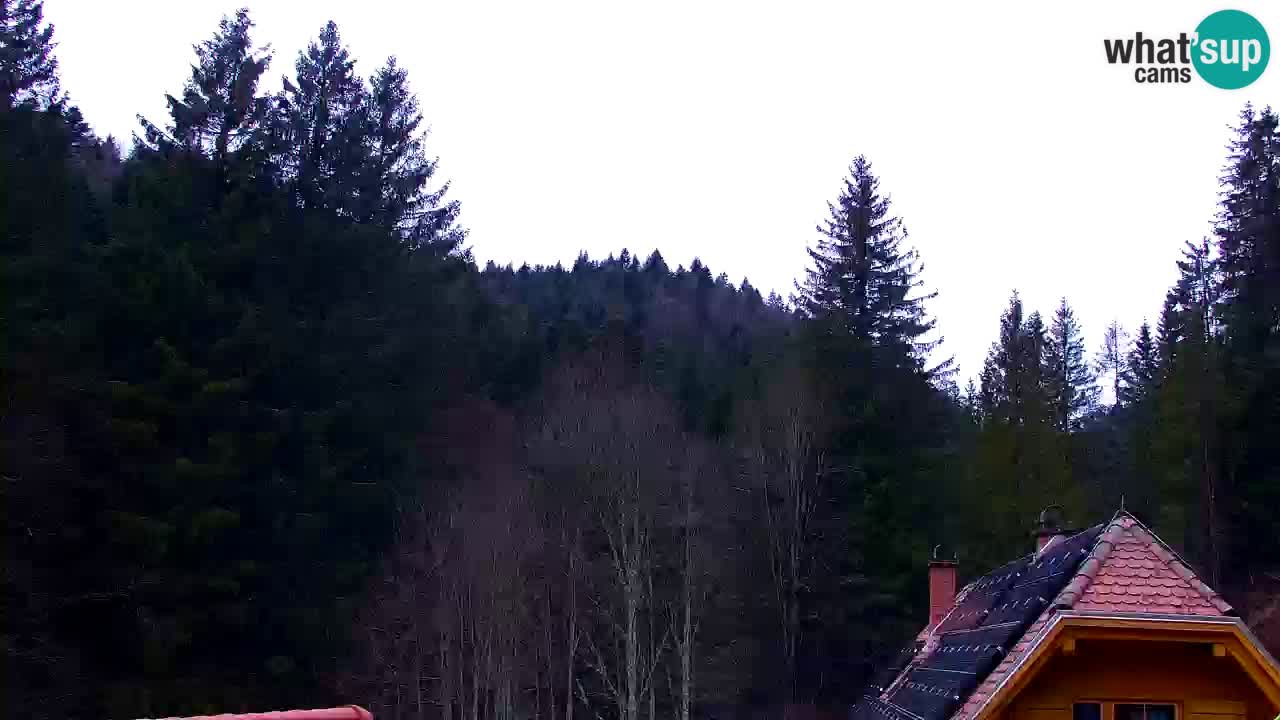 Webcam Lukanja – Water Village | Pohorje Houses