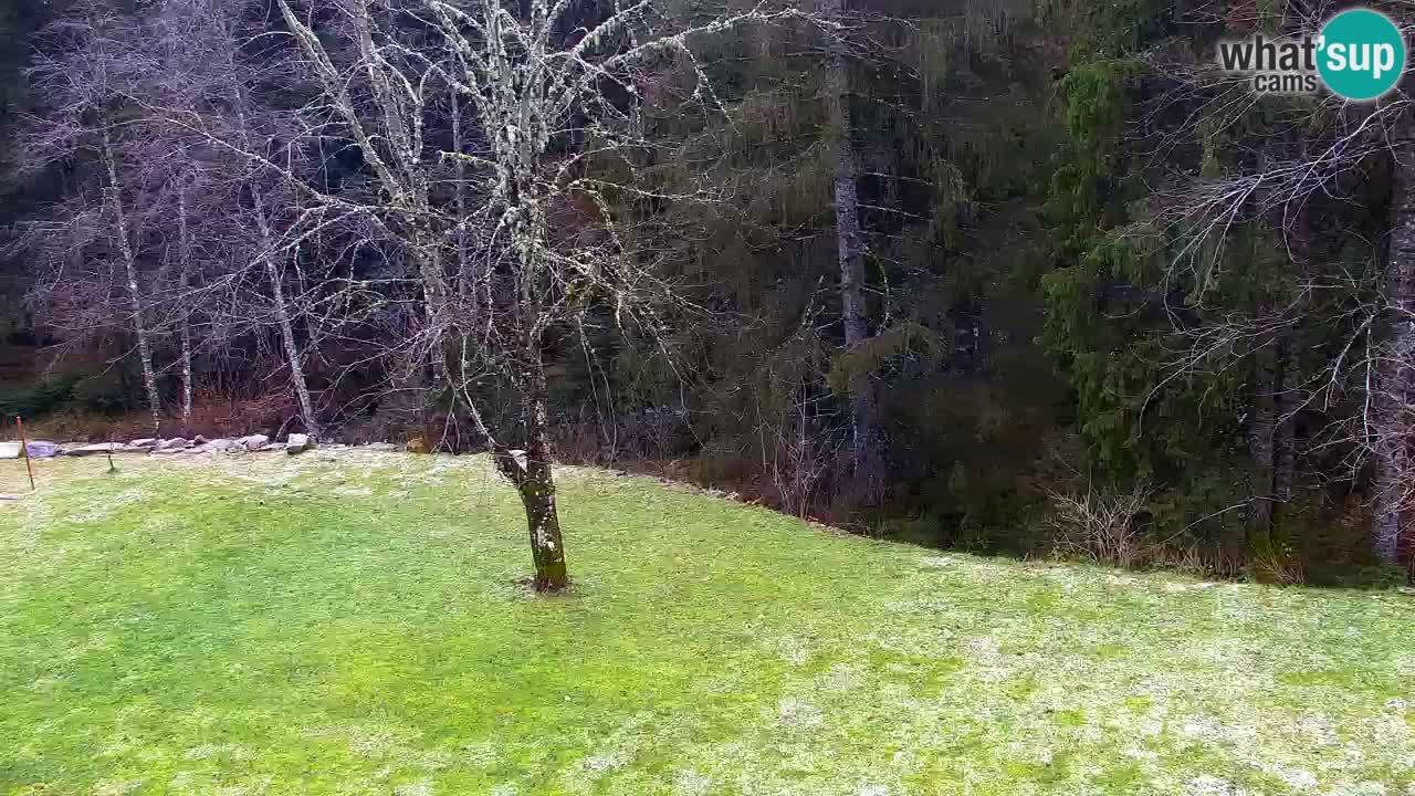 Webcam Lukanja – Pohorje houses a Water village