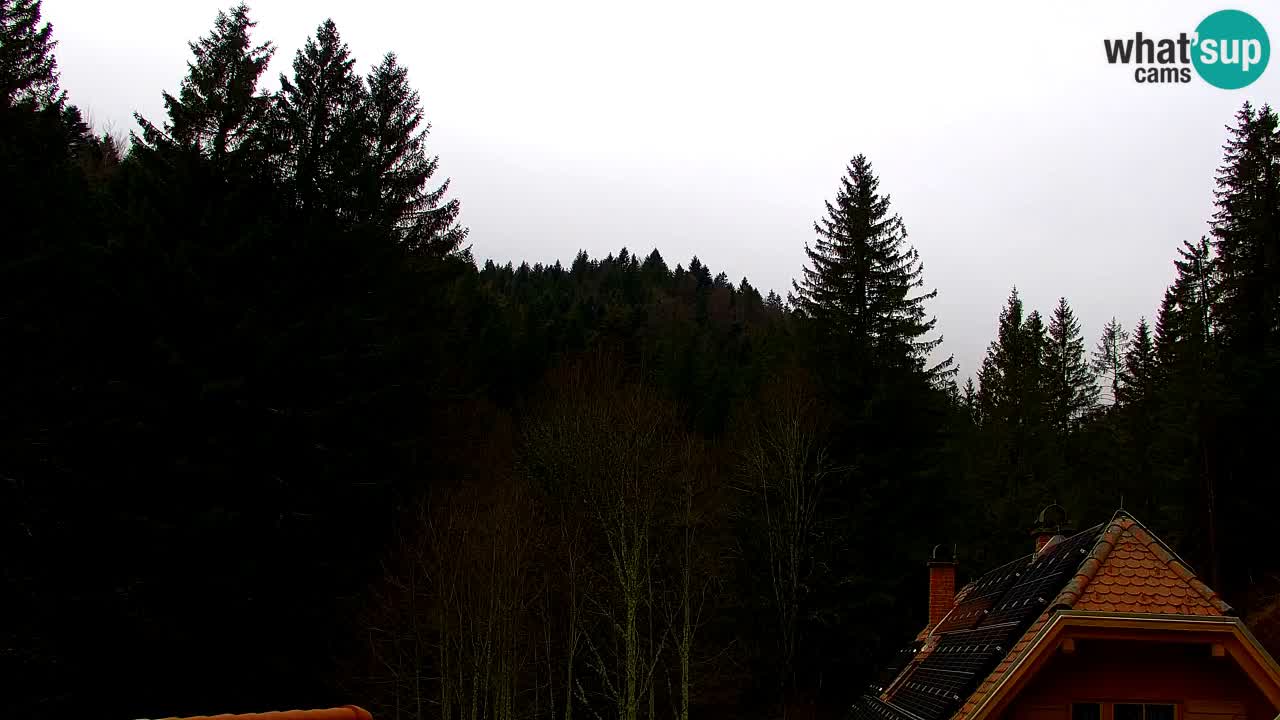 Webcam Lukanja – Water Village | Pohorje Houses