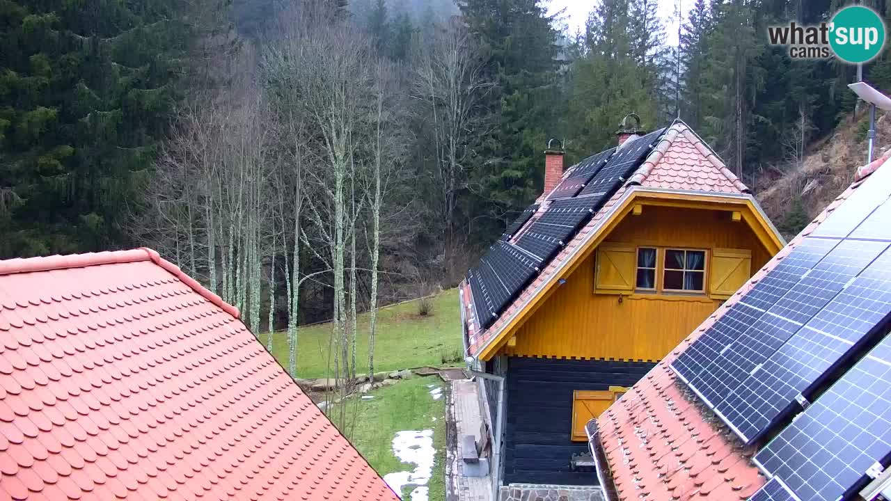 Webcam Lukanja – Pohorje houses a Water village