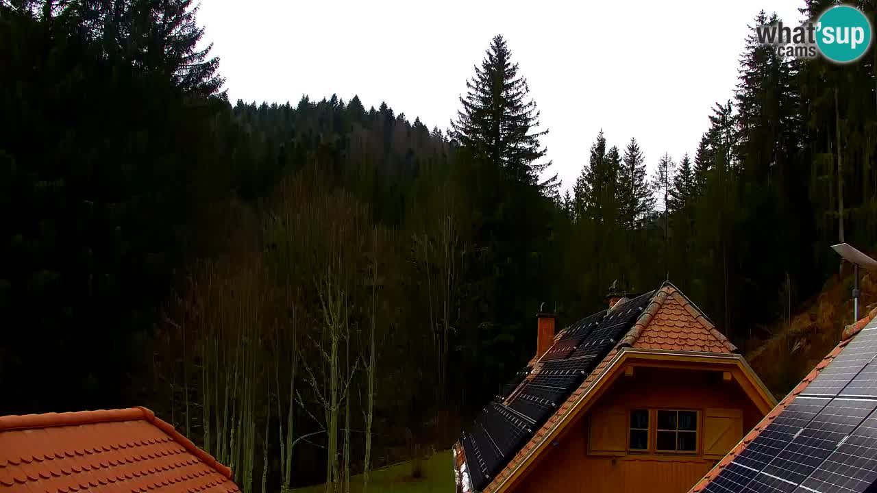 Web kamera Lukanja – Water Village | Pohorje Houses