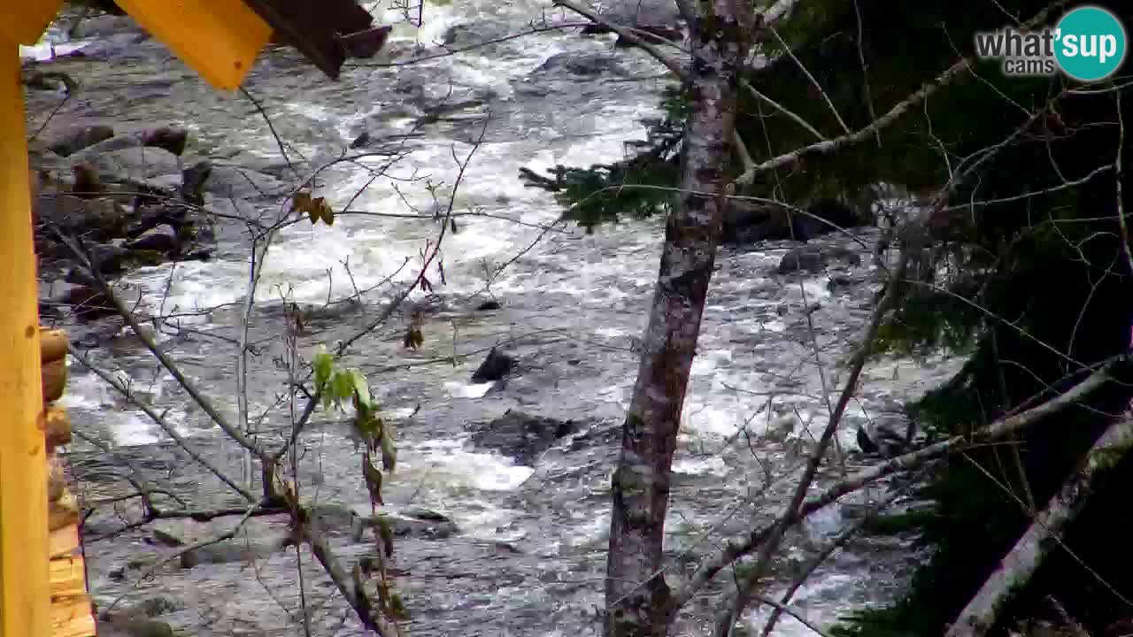 Webcam Lukanja – Pohorje houses a Water village