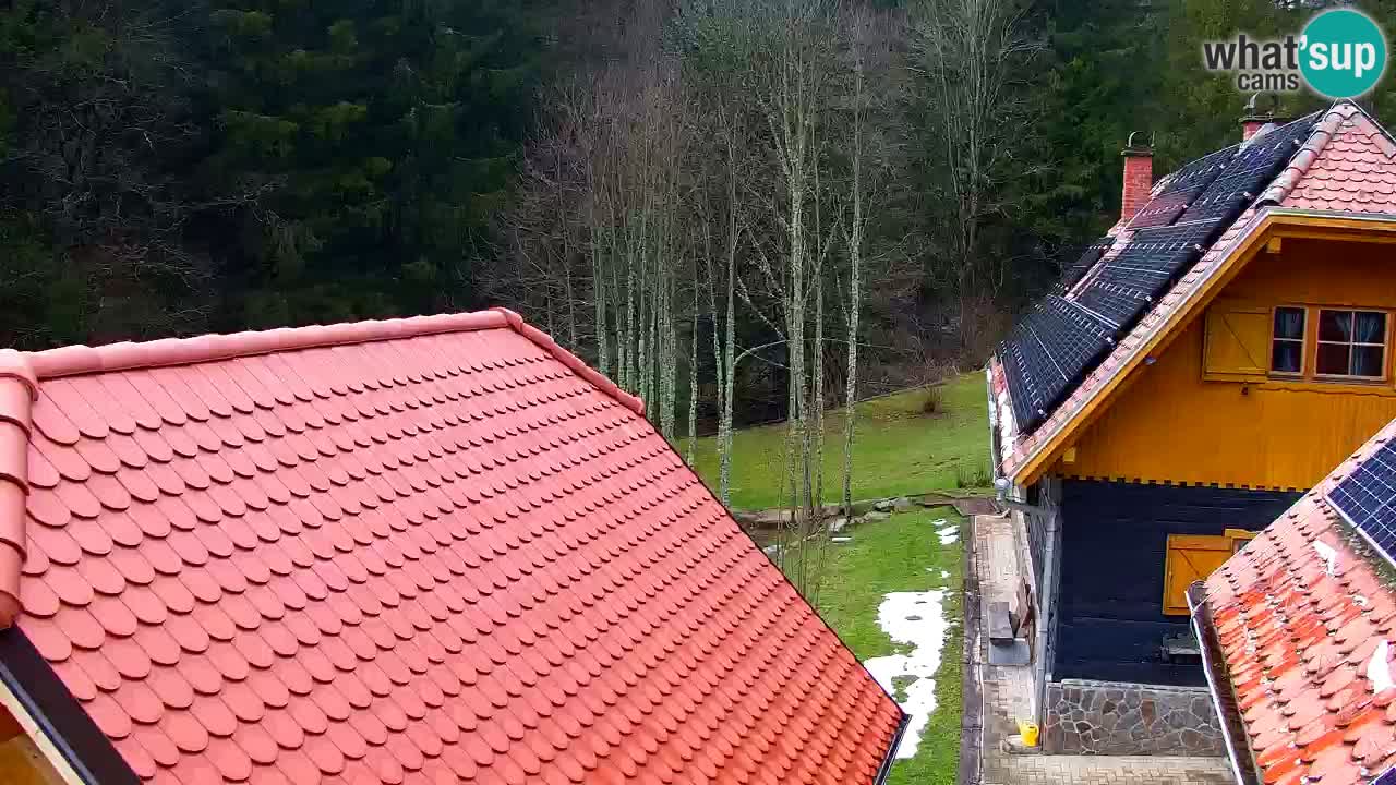 Webcam Lukanja – Pohorje houses a Water village