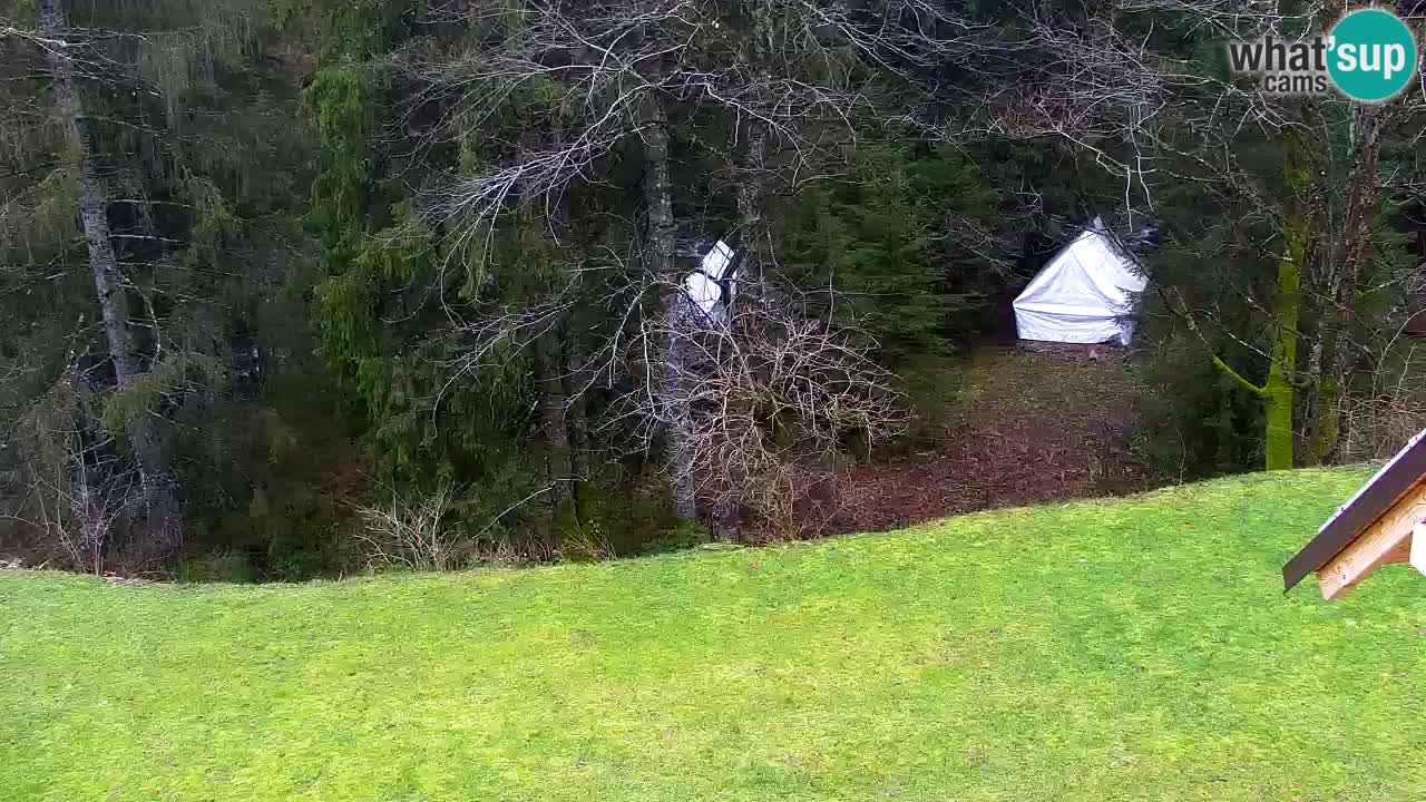 Webcam Lukanja – Pohorje houses a Water village