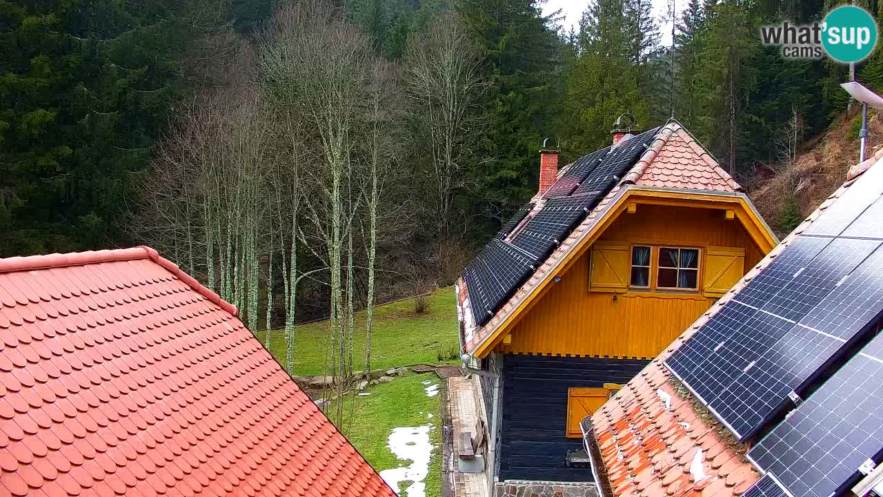 Webcam Lukanja – Water Village | Pohorje Houses
