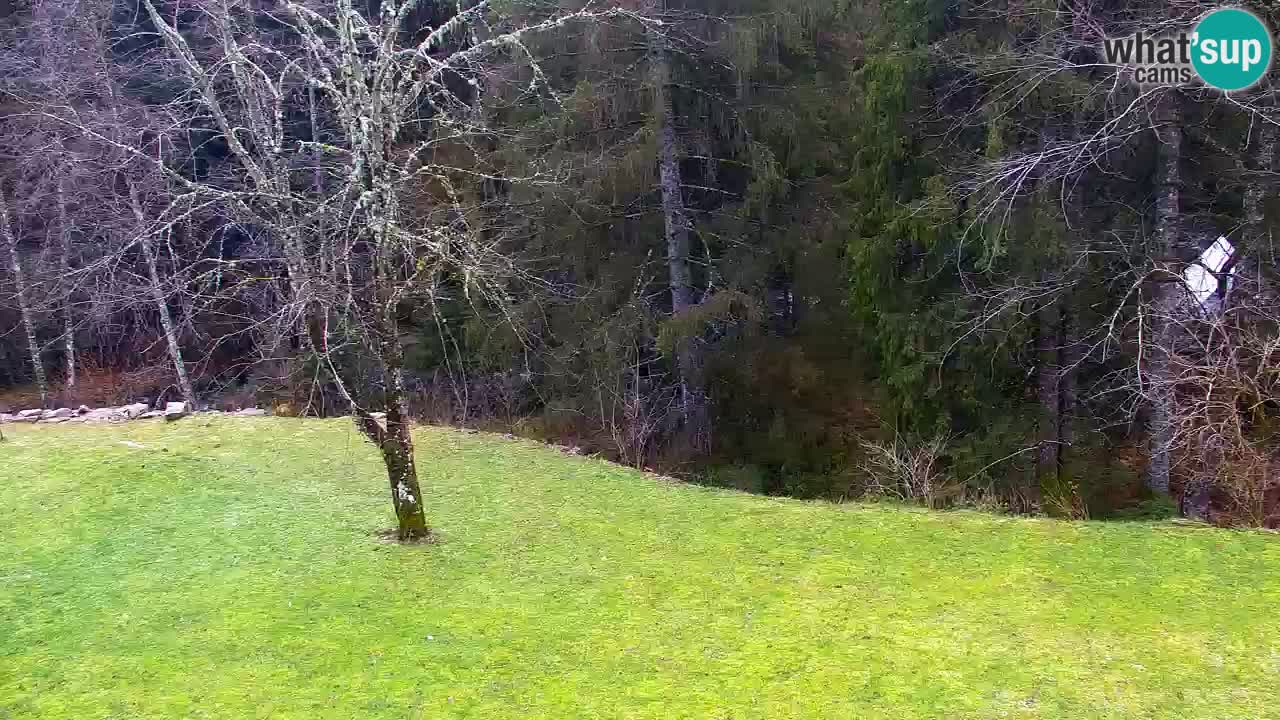 Webcam Lukanja – Pohorje houses a Water village