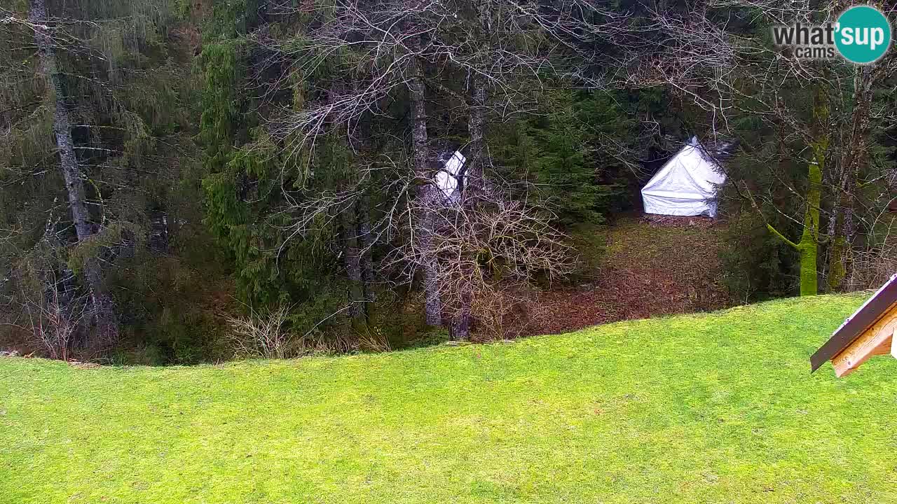 Webcam Lukanja – Water Village | Pohorje Houses