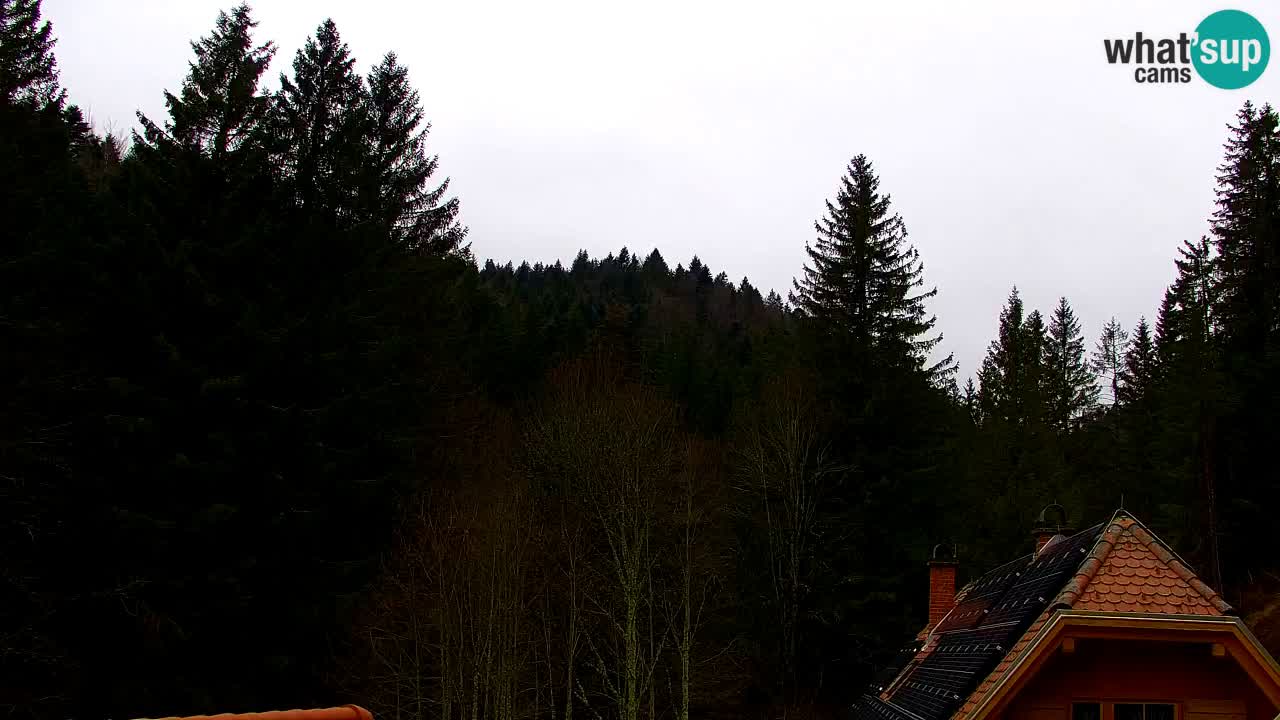 Spletna kamera Lukanja – Water Village | Pohorje Houses