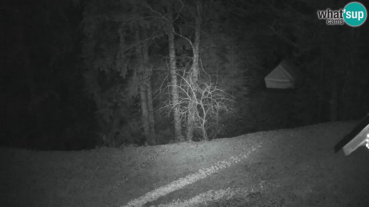 Webcam Lukanja – Pohorje houses a Water village