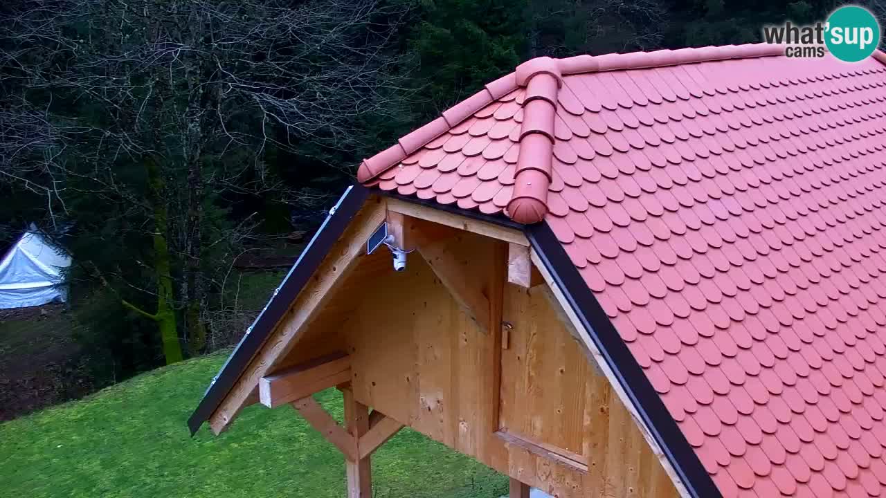 Spletna kamera Lukanja – Water Village | Pohorje Houses