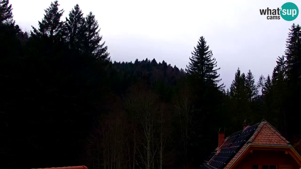 Webcam Lukanja – Water Village | Pohorje Houses