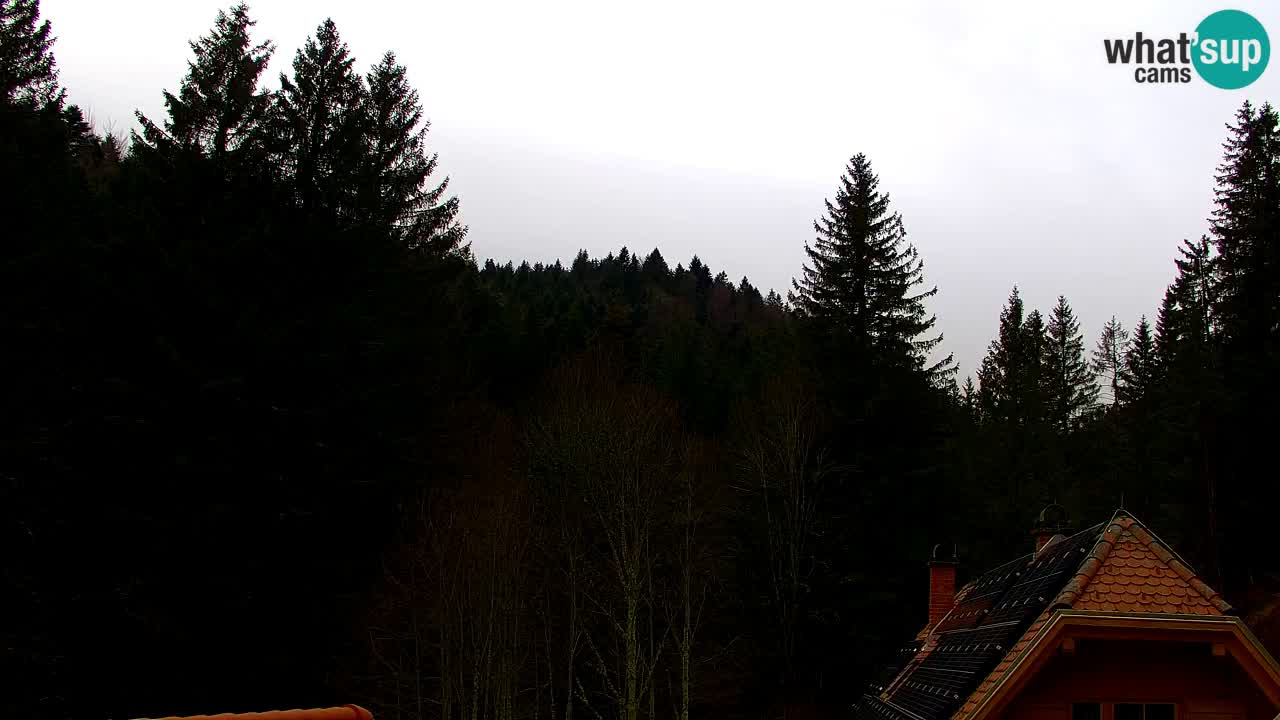 Webcam Lukanja – Water Village | Pohorje Houses