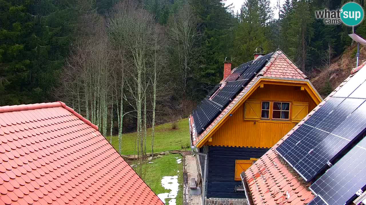 Webcam Lukanja – Pohorje houses a Water village