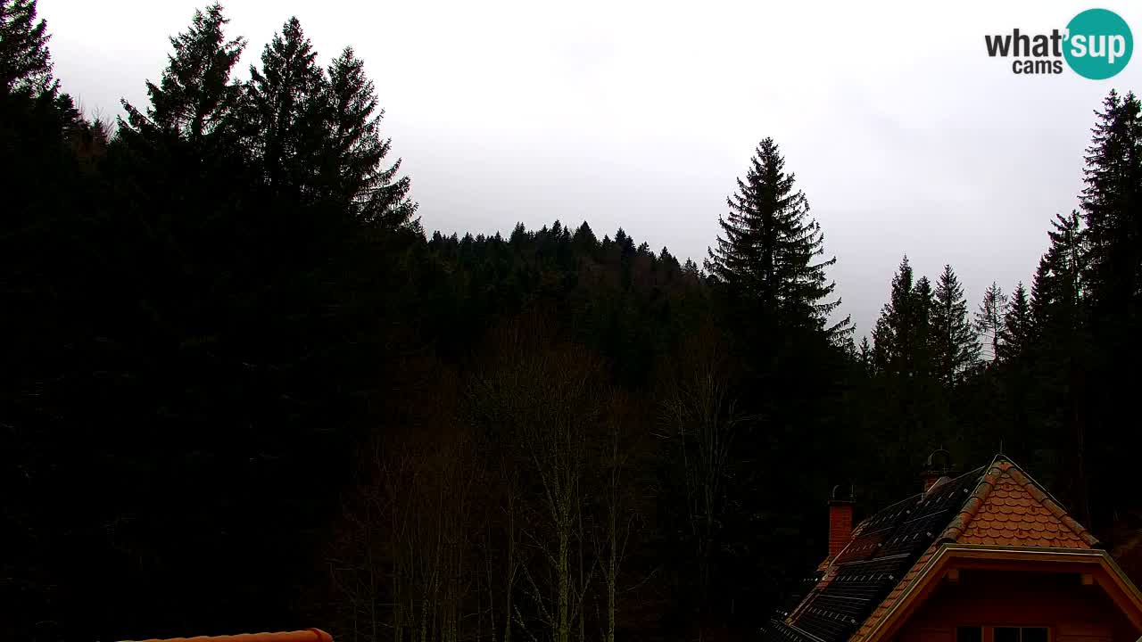 Spletna kamera Lukanja – Water Village | Pohorje Houses