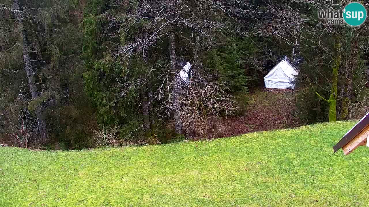 Webcam Lukanja – Pohorje houses a Water village