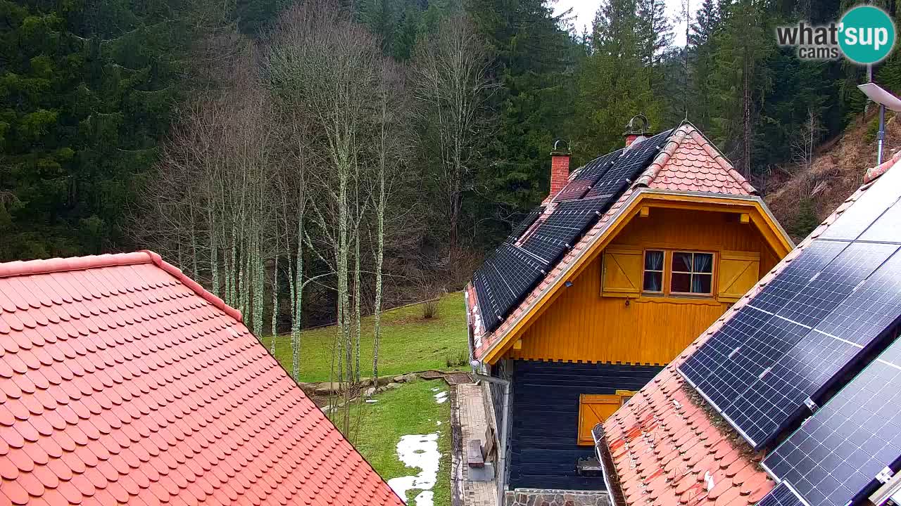 Spletna kamera Lukanja – Water Village | Pohorje Houses