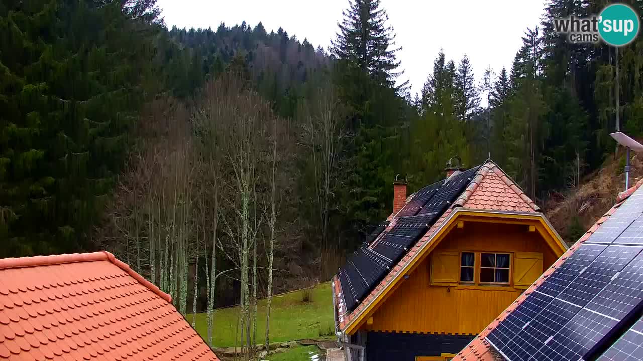 Webcam Lukanja – Water Village | Pohorje Houses