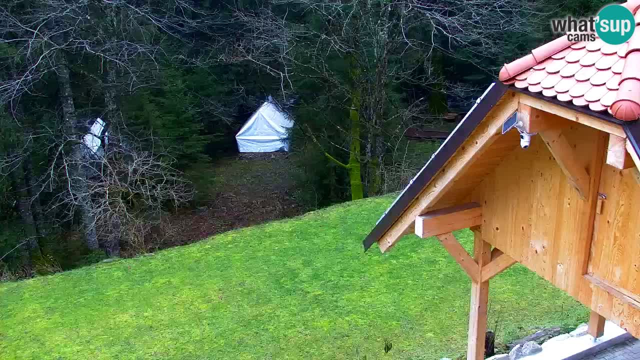 Webcam Lukanja – Pohorje houses a Water village
