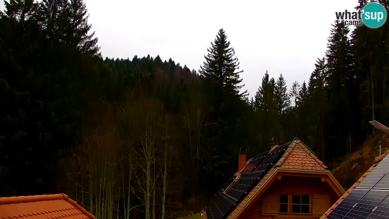 Webcam Lukanja – Pohorje houses a Water village