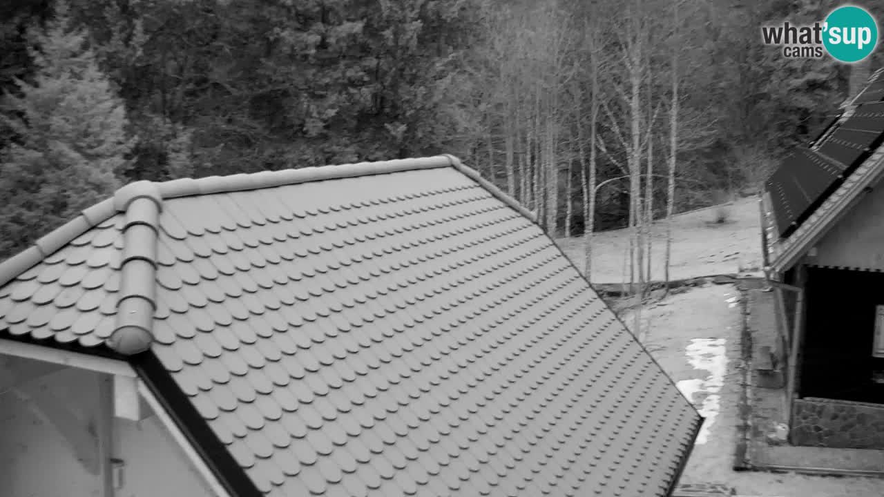 Web kamera Lukanja – Water Village | Pohorje Houses