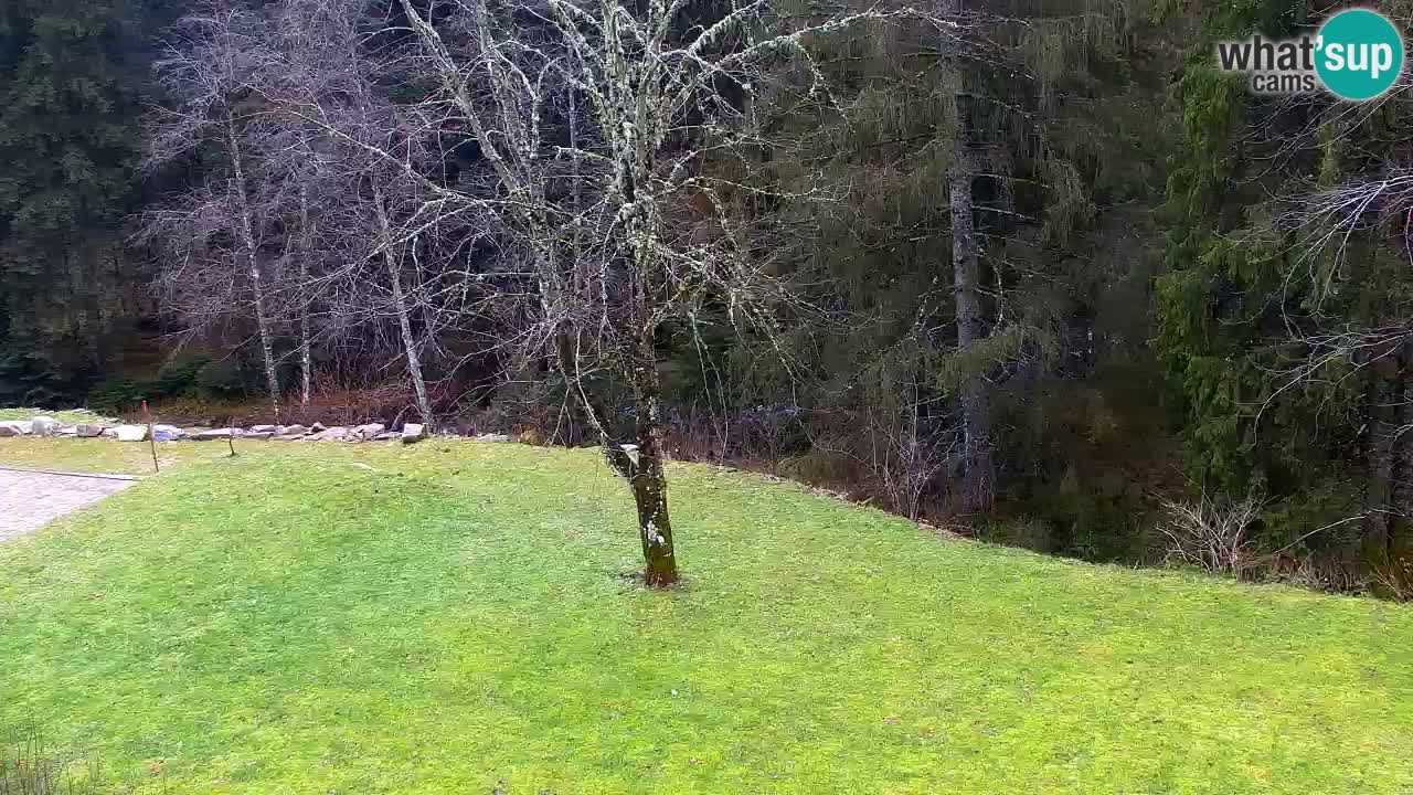 Webcam Lukanja – Water Village | Pohorje Houses