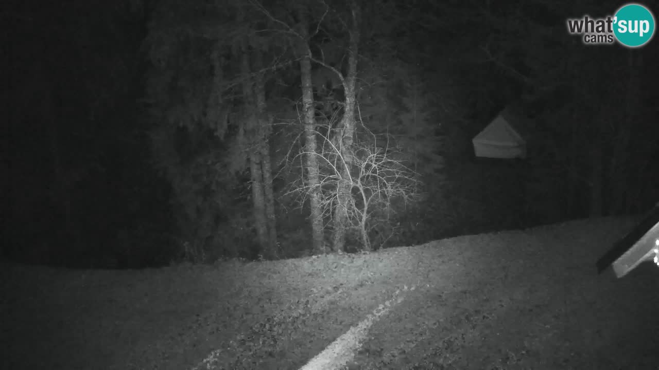 Webcam Lukanja – Pohorje houses a Water village